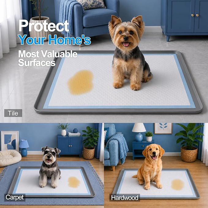 Dog Pee Pad Holder, Portable Leak-Proof Silicone Tray for Indoor Training | Fits Up to 24" x 24" Puppy Pads for Dogs, Easy to Clean Potty Mat for Floor Protection