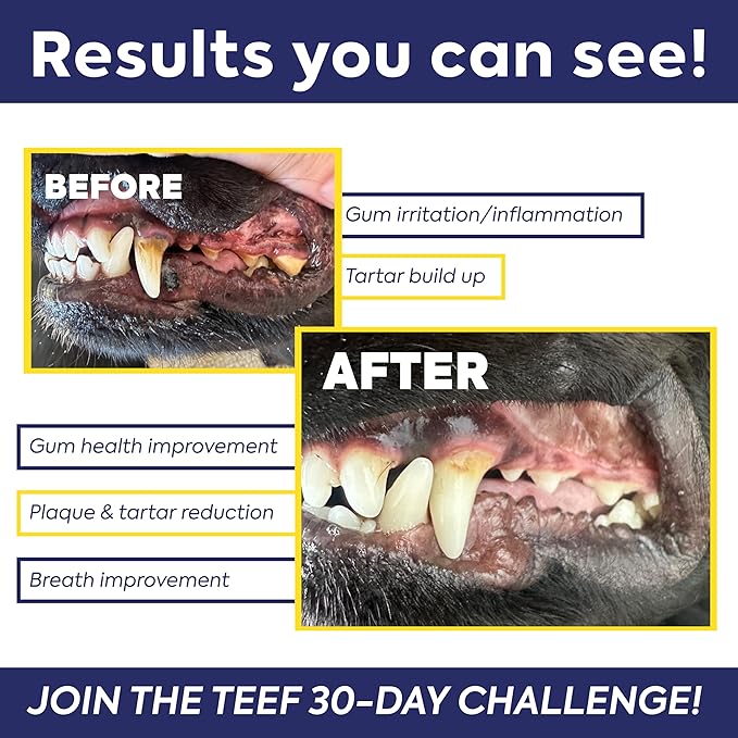 TEEF FOR LIFE Refill Packets Protektin42 Prebiotic Dental Powder for Dogs, Plant-derived, clinically-Proven Formula Naturally Fights Bad Breath, Plaque, and Tartar, 1 Packet with 30 Servings