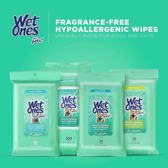 Wet Ones for Pets Extra Gentle Dog Wipes with Witch Hazel for Snout, Eye, Ear - Fragrance-Free Wipes with Wet Lock Seal, 30 Count (Pack of 2)