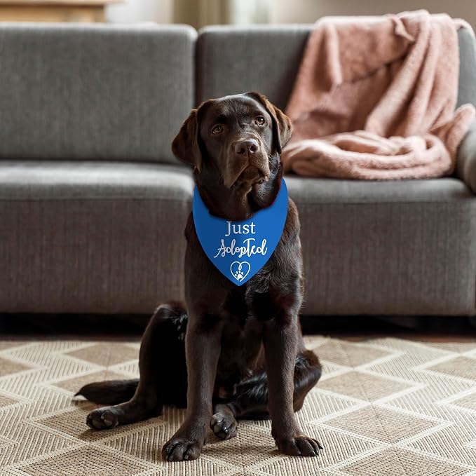 Adopt Me Bandanas for Dogs, Just Adopted Dog Bandana, Funny Cute Pet Triangle Scarf for Medium Large Dogs Puppy, Gifts for Dog Mom Owner Lovers Christmas (Blue)