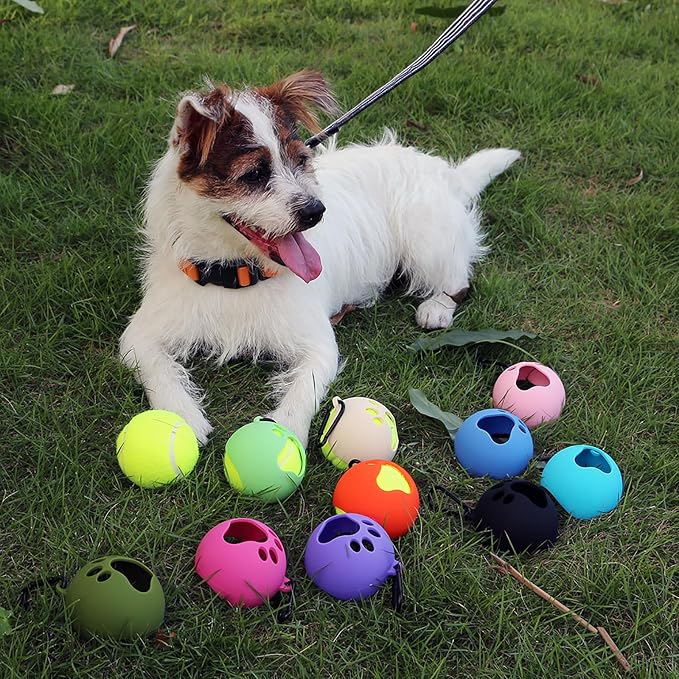 Portable Pet Ball Sleeve Storage Box, Dog Toy Ball Rack, with Dog Leash Attachment, Standard Tennis Balls Size, and Stain-Resistant