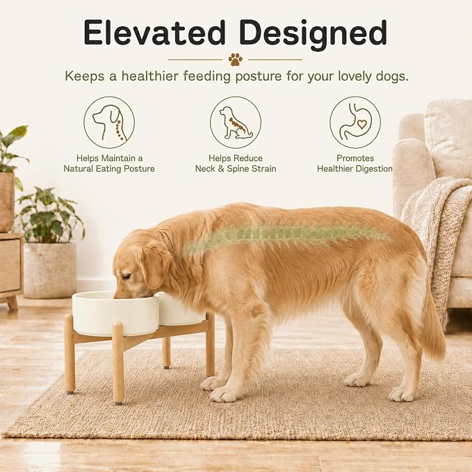 Havniva Ceramic Dog Bowls Elevated, Raised Dog Food Bowl for Large Dogs | 8.3” Elevated Dog Bowls, Non-Slip Wood Stand, Dog Food and Water Bowl Set, Dog Feeding Dish, Large Capacity Pet Water Bowl