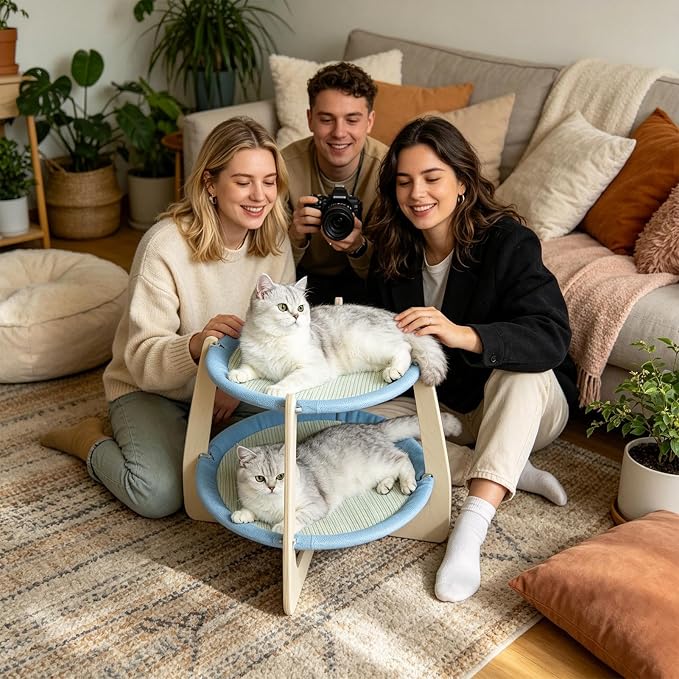 Elevated Cat Bed Breathable Mesh Hammock | Removable Washable Double Layer Wooden Cat Bed for Medium Large Breed All Season Home Indoor Balcony Living Room