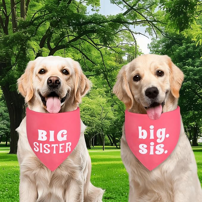 Big Sister Dog Bandana Pink XLarge 1PCS, Adjustable Triangle Scarf | Pregnancy Announecment, New Baby for Family.