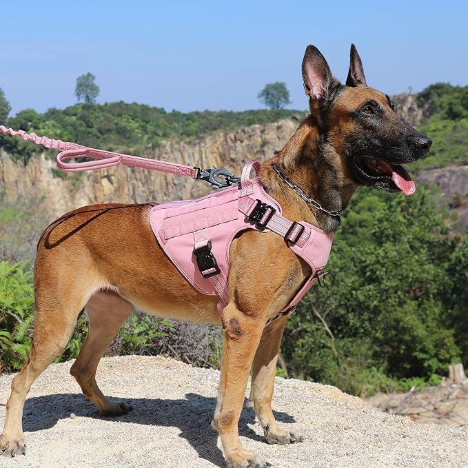 ICEFANG Tactical Dog Harness for Large Dogs,Reflective No Pull Dog Vest | with Control Handle,Adjustable,Front Hook,2 Leash Clips,Soft Padded,MOLLE Panel,Pink,Large
