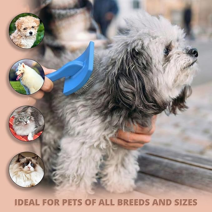 Slicker Brush for Dogs, Dog Brush for Shedding Massaging, Doodle Brush for Long Haired Dogs with Extra Long Pins to Effectively Remove Tangles, Knots and Mats (LARGE) (Blue, Large)