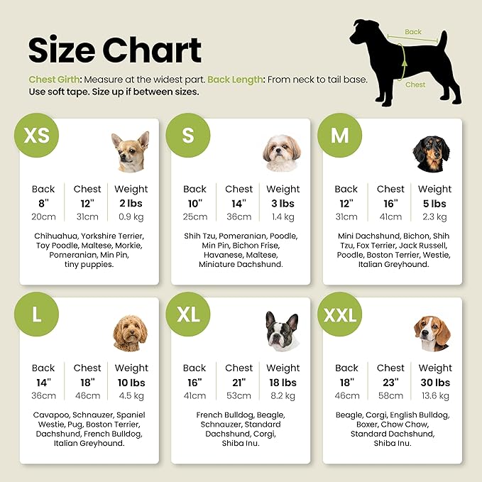 Fitwarm Cute But Psycho Dog Shirt, Summer Clothes for Small Dogs Boy Girl, Funny Pet Outfit, Black, White, Large