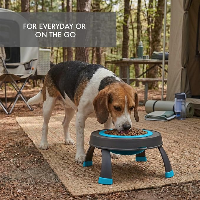 Dexas Pets Elevated Pet Feeder, Large, 4 Cup Capacity, Blue, Raised Pet Food and Water Bowl