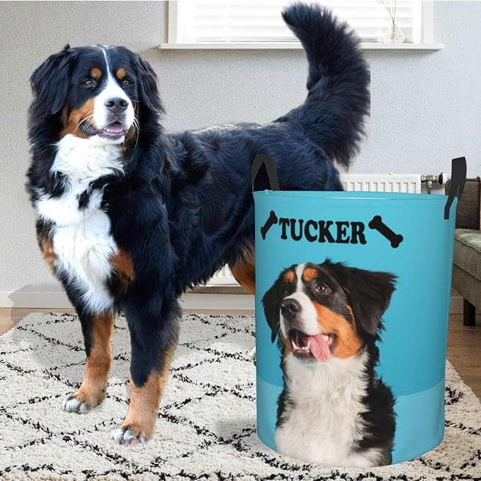 Personalized Large Dog Toy Storage Basket Bin Collapsible Custom Pet Stuff Box Chest Container for Living Room Organizer for Dog Toys,Dog Food,Blankets,Clothing (SkyBlue)