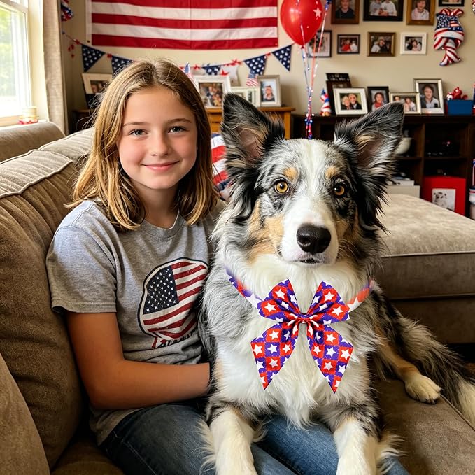 PET SHOW 10 Pack 4th of July Sailor Dog Bowties for Large Dogs
