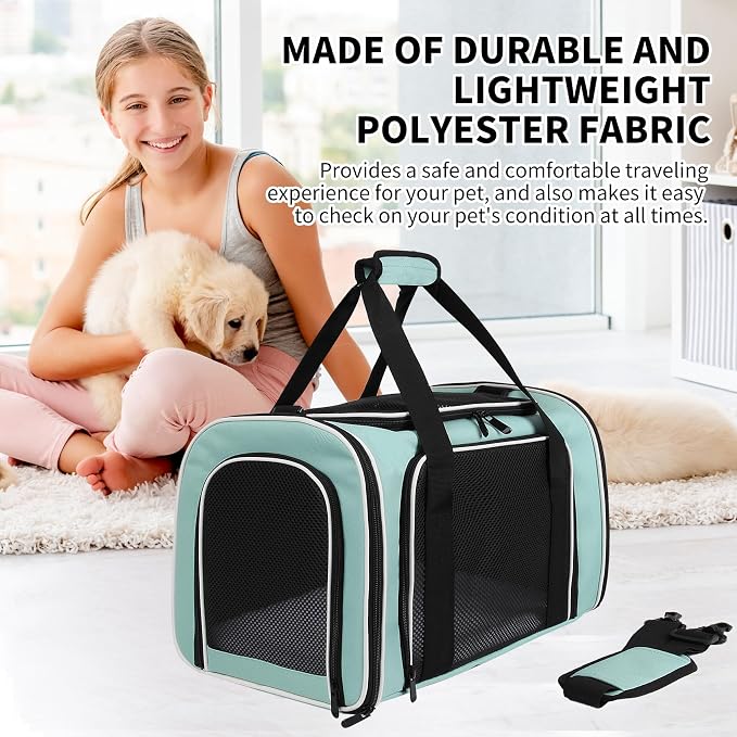 Cat Dog Carriers Soft-Sided, Pet Travel Carrier for Small Cats Dogs Under to15lbs, Soft-Solid Collapsible Carrier,(Medium,Green)