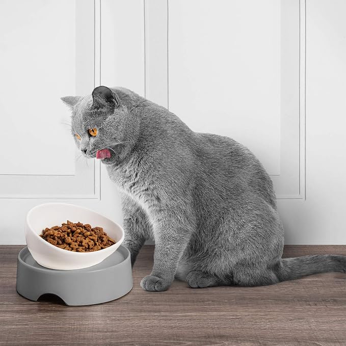 CatGuru Food Table for Cat Bowls, Elevated Feeding Station for Cat Food Bowl, Raised Stand for Pet Food and Water Bowls, Pet Feeder for Indoor Cats, Stress Free Stand for Pet Dishes or Plates (Grey)