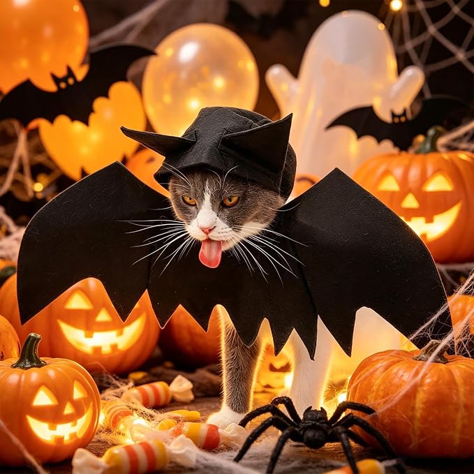 Bat Costume for Cats with Hat, Cute Realistic Felt Dress Up Accessories | Festival Dog Apparel Party Props for Holiday Party Celebration Cosplay Walking Daily Wear