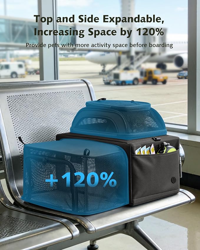 Pecute Top Expandable Airline Approved Pet Carrier for Cats, Dark Gray | Airline Approved Dog Carrier, Under-seat, Breathable, Anti-scratch Mesh, Safety Leash, Locking Zippers, Leakproof Pee Pad