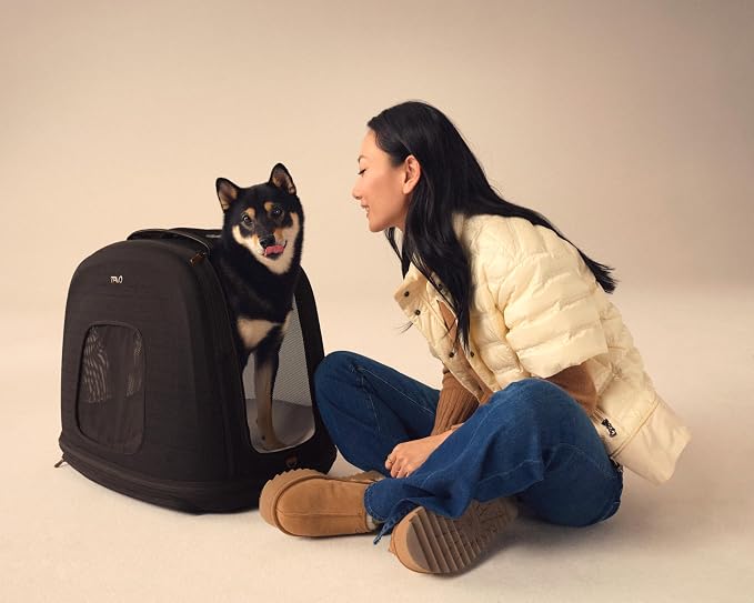 TAVO Pets Crispin Crash-Tested Dog & Cat Car Crate, Onyx, Small