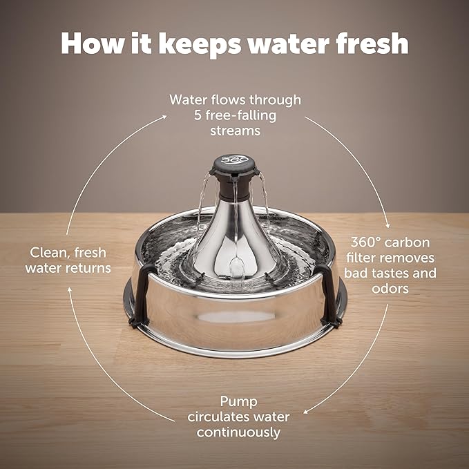 PetSafe Stainless Multi-Pet Fountain with Carbon Filters Great for Multiple Pet Households Customizable Stream Options Scratch and Rust Resistant 128 Oz Water Capacity Fresh, Filtered Water