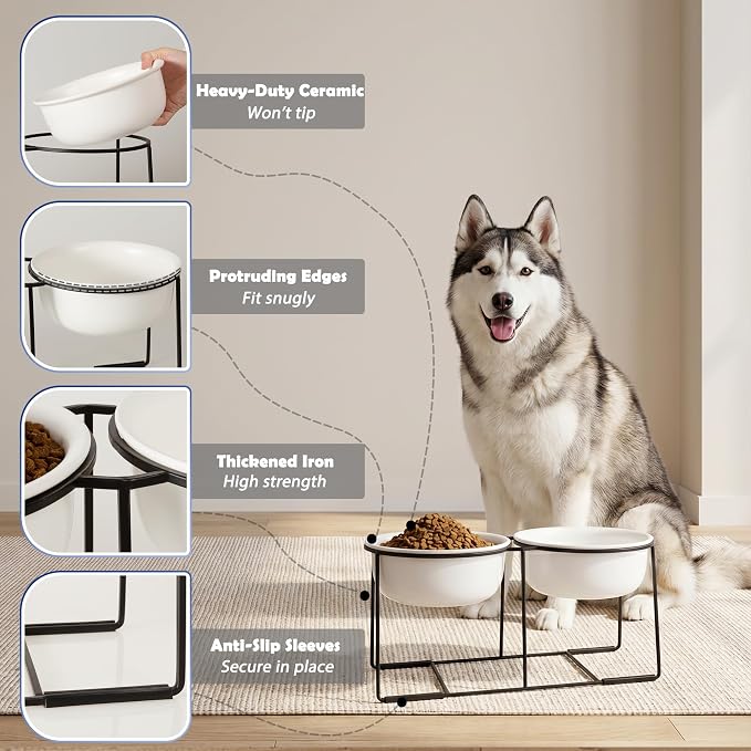 Ceramic Elevated Dog Bowl Set - Raised Double Feeding Bowls with Metal Stand - Pet Dishes for Medium and Large Dogs - 5.8 Cups - 47.3 fl oz - Matte White