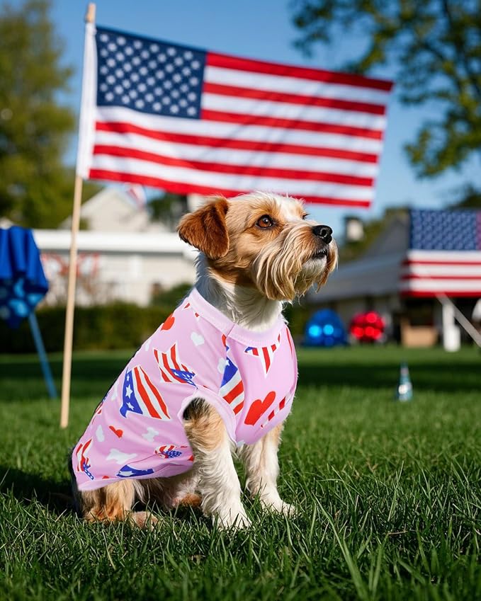 PET SHOW 4 Pack 4th of July Dog Shirts for Extra Small Doggies Boy Girl | Patriotic t-shirts for cats,polyester,US flag sleeveless vest, independence day holiday clothes tank top,XS