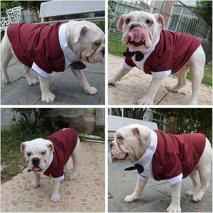 Lovelonglong Bulldog Costume Dog Suit Formal Tuxedo with Black Bow Tie Wedding Clothes for Pugs/French Bulldog/English Bulldog/American Pit Bull Brown B-M