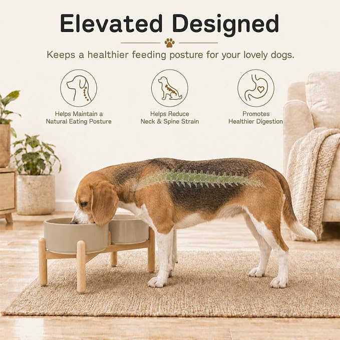 Havniva Ceramic Dog Bowls Elevated, Raised Dog Food Bowl for Small Dogs | 7.3” Elevated Dog Bowls, Non-Slip Wood Stand, Dog Food and Water Bowl Set, Dog Feeding Dish, Large Capacity Pet Water Bowl