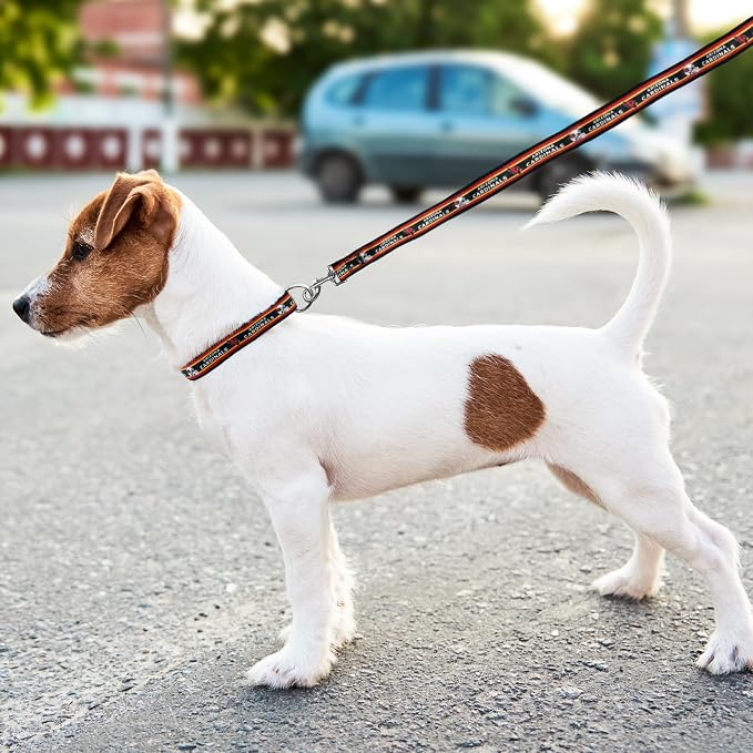 NFL PET Leash, Large, Arizona Cardinals Dog Leash, Football Team Leash for Dogs & Cats. A Shiny & Colorful Dog & Cat Leash with Embroidered Team Name/Logo Licensed by The NFL
