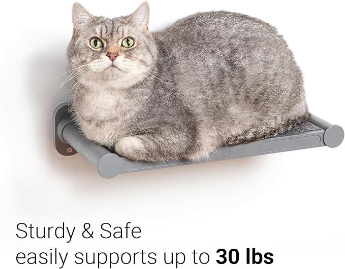 Cat Wall Shelves, 17" x 8" Wall Furniture with Felt Pad, Modern Design, Easy to Install & Clean, Cat Perch for Sleeping & Playing (Dark Grey)