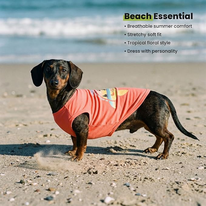 Fitwarm Hawaiian Sea Turtle Dog Shirt, Tropical Summer Clothes for Small Dogs Boy Girl, Funny Pet Outfit, Orange, XXL