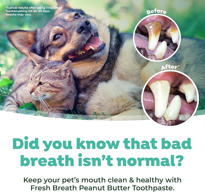 TropiClean Fresh Breath Plaque & Tartar Control Kit | Dog Toothpaste, Toothbrush & Finger Brush | Dog Toothbrushing Kit | Peanut Butter Flavor