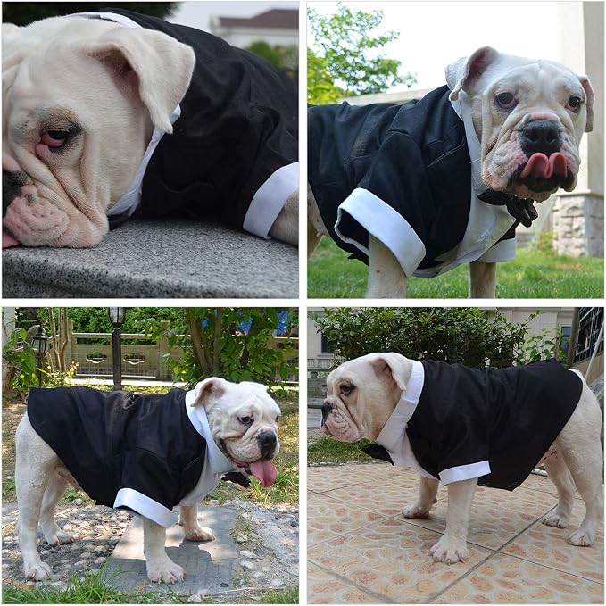 Lovelonglong Pet Costume Dog Suit Formal Tuxedo with Black Bow Tie for Large Dogs Alaska Golden Retriever Black L-XL+