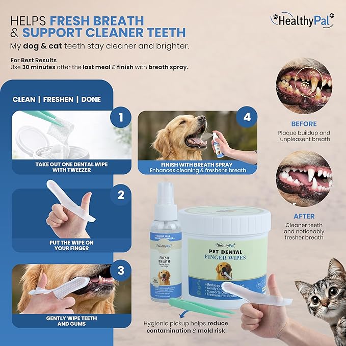 Pet Dental Finger Wipes for Dogs & Cats – 50 Mint Flavor Dog Dental Wipes + Mint Fresh Breath Spray, Dog Tooth Brushing Kit, Helps Remove Bad Breath & Plaque & Tartar Buildup