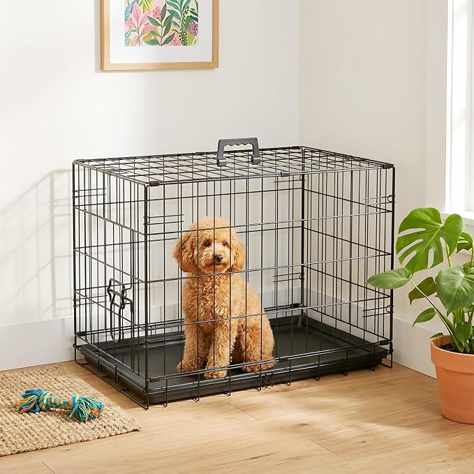 FDW Dog Crate 24-Inch Dog Cage Single Door Foldable Metal Kennel with Leakproof Tray Foldable Design Indoor Outdoor Use for Small Dogs,Dark Black