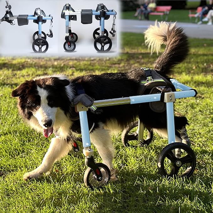 Wheelchair - 4 Wheel/2 Wheel Mum to L Pet Rear Limb Support Trolley, Injured Dog li Aid with Leg Protect Pad, Ideal for Rehabilitat