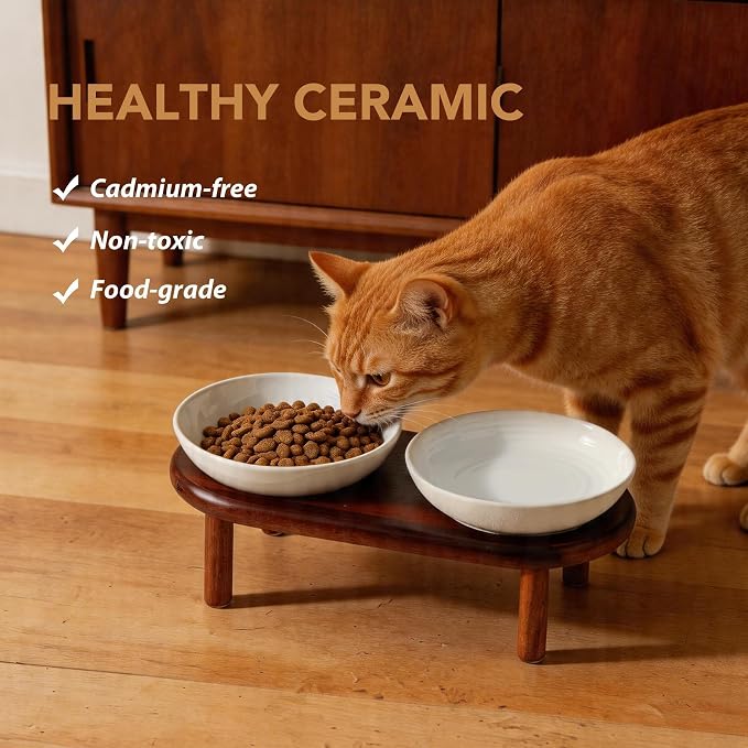 Havniva Elevated Cat Bowls, Ceramic Cat Bowl with Wood Stand, Wide Opening | 5.7” Raised Cat Food Bowls, Whisker Friendly Cat Dish, Anti-Slip Cat Water Bowls, Shallow Cat Bowls, Cat Food & Water Bowl