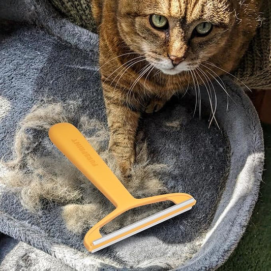 Pro Pet Hair Removal Tool – Dog & Cat Hair Scraper for Carpet, Couch, and Car – Reusable Carpet Hair Removal Tool & Fur Scraper for Upholstery, Rugs, Furniture, and Car Interiors