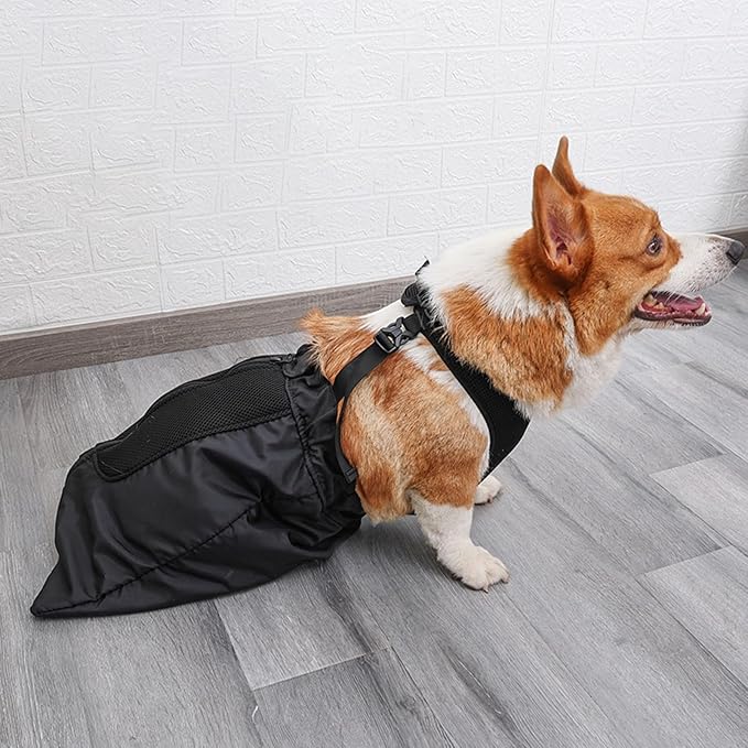 Drag Bag for Paralyzed Pets, Indoor Dog Wheelchair Alternative for Disabled Back Rear Legs Dog, Protects Chest and Limbs, Durable Nylon Breathable and Comfortable (2XL)