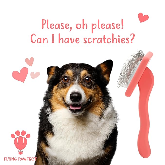 Flying Pawfect Dog Slicker Brush for Grooming Pet Hair - Best Slicker For Poodle & Golden Doodle - Long Haired Tool For Dogs - Goldendoodle Long Pin Brush For Dematting (Coral, Flat Large)