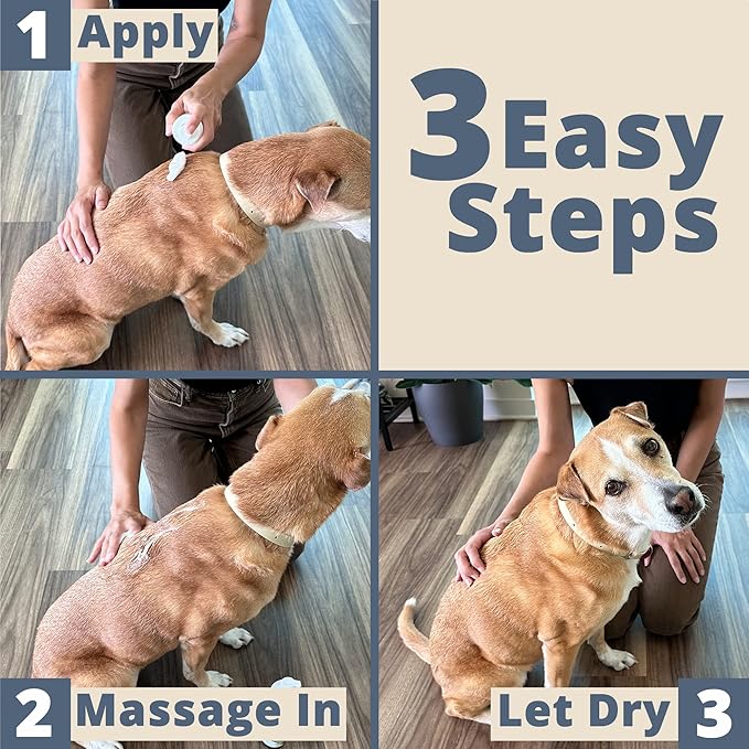 Paw Choice Dog Dry Shampoo - Hypoallergenic Waterless No Rinse Foam - Natural Coconut-Derived Cleanser - Quickly Deodorizes, Cleans & Conditions Between Baths - Made in USA - Lavender Chamomile