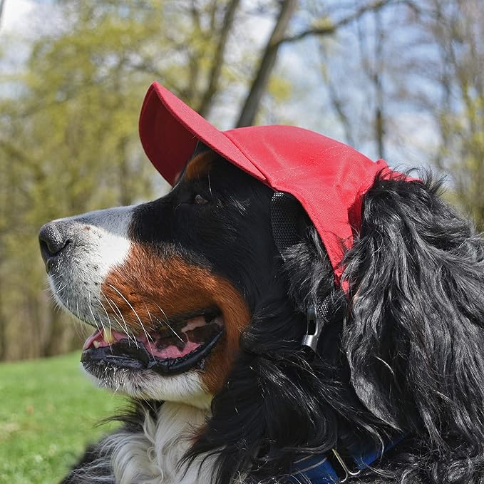 Littlearth Unisex NHL Pet Baseball Hat
