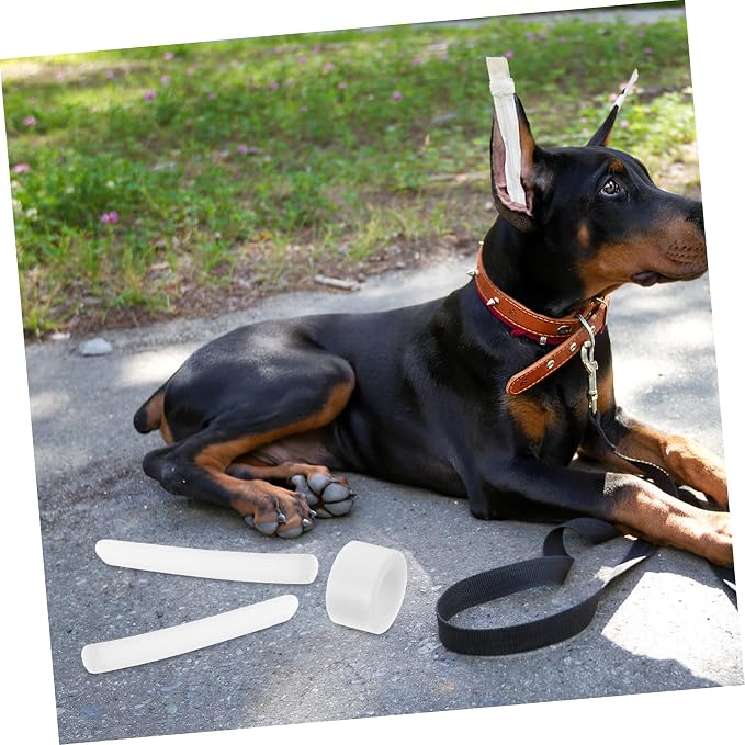 BESPORTBLE 10pcs Dog Ear Stand Fixed Support Puppy Ear Tying Device Soft Foam Tape Pet Accessory