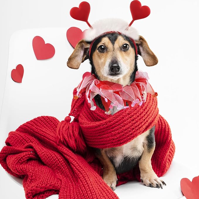 Dog Outfit, Red Glitter Heart Dog Headband and Tutu Collar Costume Set, Valentine’s Party Accessories for Small Medium Large Dogs Style A