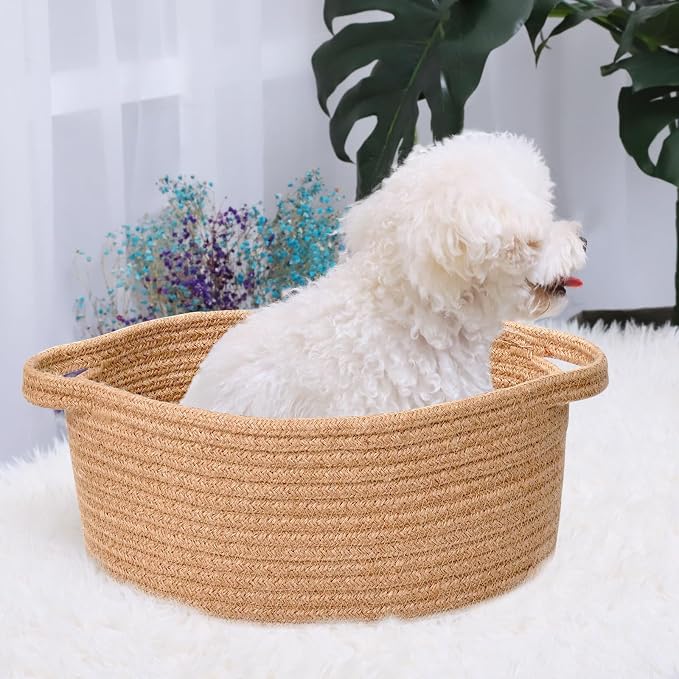 ABenkle Small Basket with Handles, Boho Decorative Rope Woven Dog Cat Toy Storage Bin Shelf Storage Organizer, Easter Christmas Gift Basket, 12"x8"x5"
