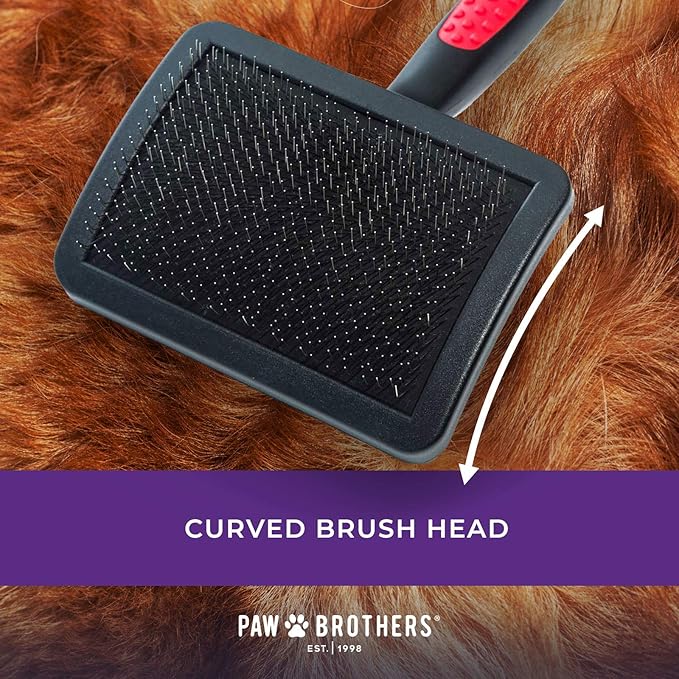 Ryan's Pet Supplies Paw Brothers Hard Pin Curved Back Slicker Brush for Dogs, Professional Grade, Stainless Steel Pins, Ergonomic Handle, Dematt and Detangle, Large, 4.5 in.