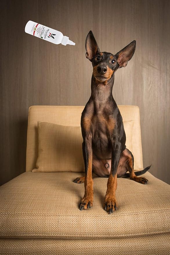Warren London Instant Ear Cleaner- Dog Ear Drops w/Aloe to Prevent Irritation | Made USA | 12oz