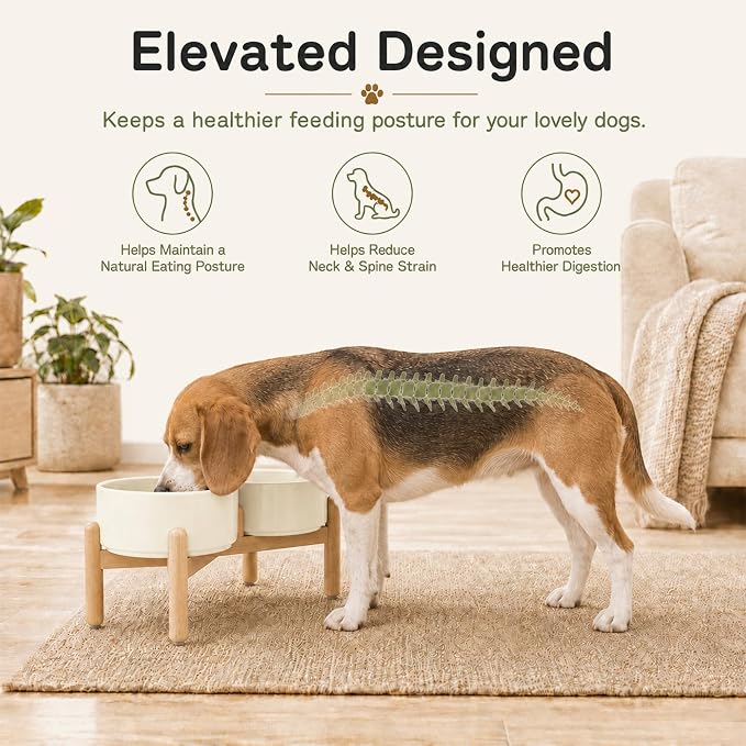 Havniva Ceramic Dog Bowls Elevated, Raised Dog Food Bowl for Medium Dogs | 7.3” Elevated Dog Bowls, Non-Slip Wood Stand, Dog Food and Water Bowl Set, Dog Feeding Dish, Large Capacity Pet Water Bowl