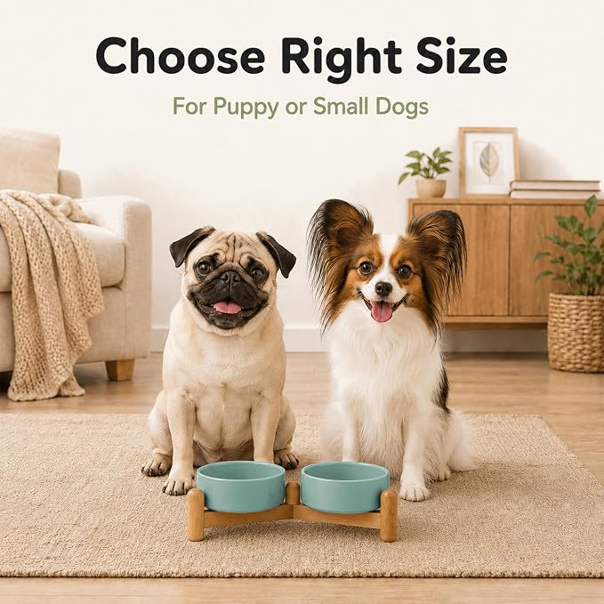 Havniva Ceramic Dog Bowls Elevated, Raised Dog Food Bowl for Puppies | 5.1” Elevated Dog Bowls, Non-Slip Wood Stand, Dog Food and Water Bowl Set, Dog Feeding Dish, Large Capacity Pet Water Bowl