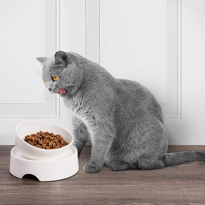 CatGuru Food Table for Cat Bowls, Elevated Feeding Station for Cat Food Bowl, Raised Stand for Pet Food and Water Bowls, Pet Feeder for Indoor Cats, Stress Free Stand for Pet Dishes (Marshnallow)