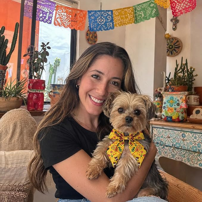 PET SHOW 10 Pack Mexican Sailor Dog Bowties for Small Dogs