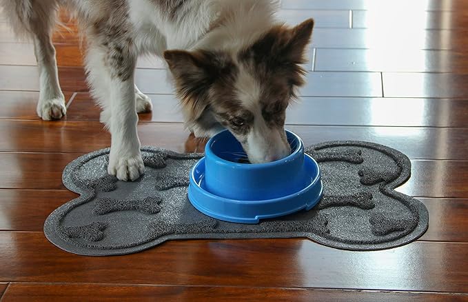 PetLike 2 Pack Ant Proof Dog Cat Bowls, No Spill Pet Food Water Bowls with Moat, Non-Slip Non-Skid Feeder Dishes for Small Medium Dogs and Cats