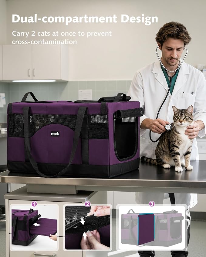 Pecute Cat Carrier, Soft Double Pet Crate for 2 Cats Travel, Purple | Anti-Collapse Steel Frame, Convertible Dual Space, Foldable, Polyester Breathable mesh, Up to 26 lbs, Car Travel & Vet Visits