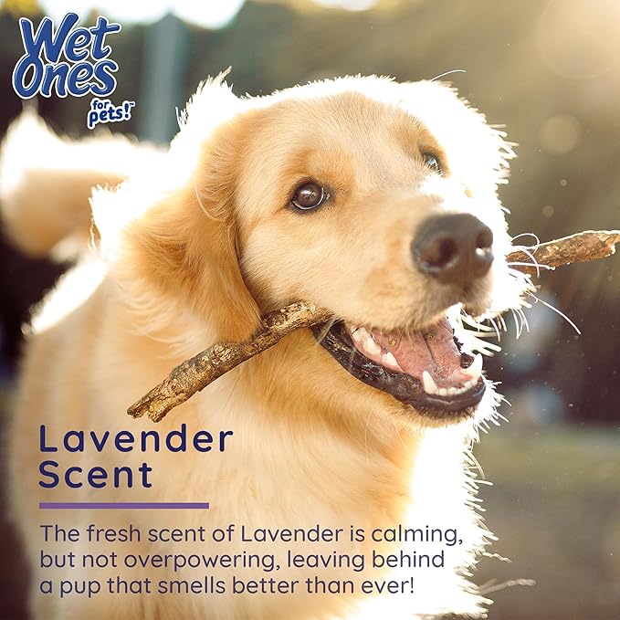 Wet Ones for Pets Antibacterial Calming Dog Wipes with Chamomile and Lavender Scent - Kills 99.99% of Germs, Durable Disposable Paw Wipes for Pets, 30 Count